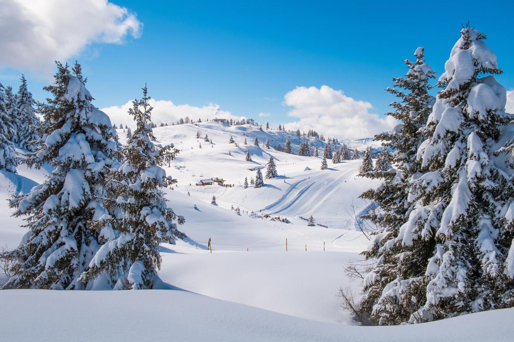 Chalet Anelie Happy Rentals Les Houches Esterno foto