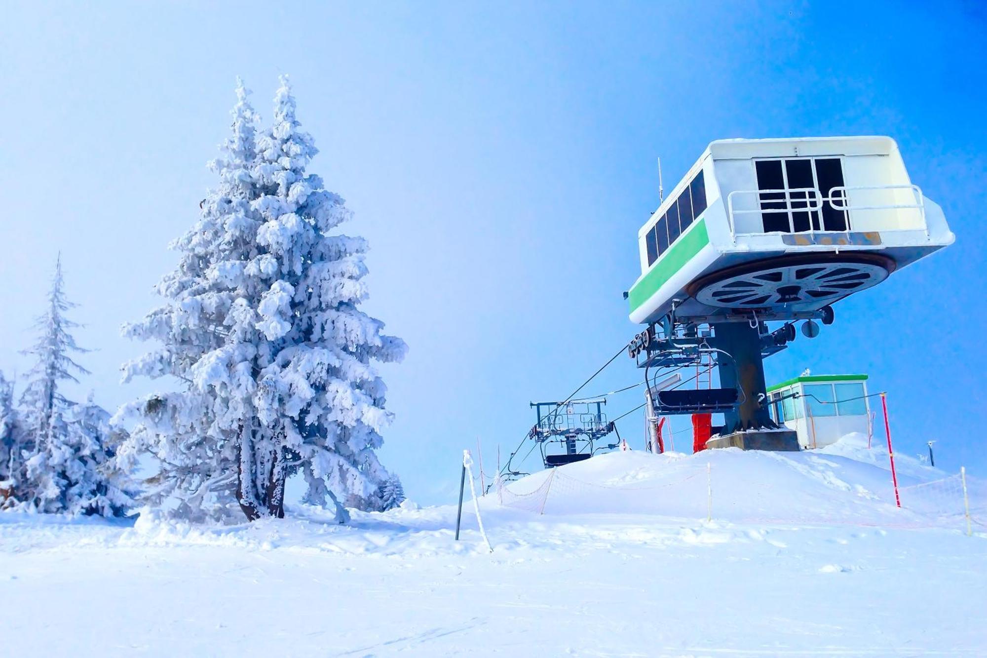 Chalet Anelie Happy Rentals Les Houches Esterno foto